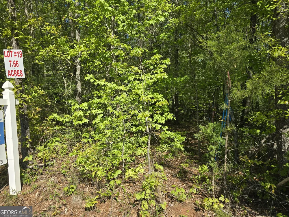 LOT 19 Smith RD Thomaston, GA 30286