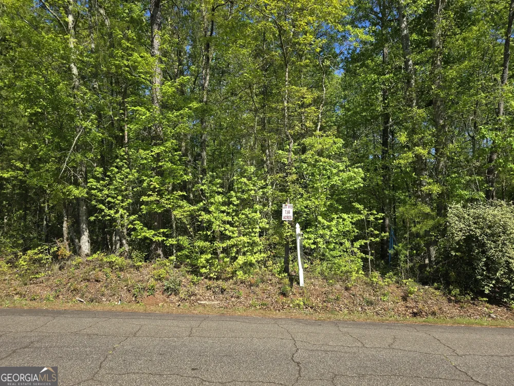 LOT 19 Smith RD Thomaston, GA 30286