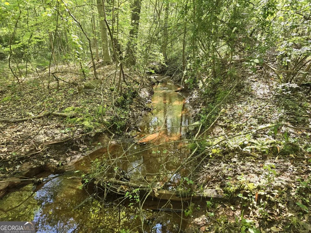 LOT 19 Smith RD Thomaston, GA 30286