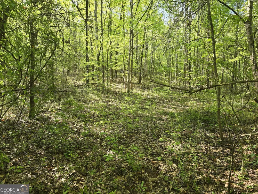 LOT 19 Smith RD Thomaston, GA 30286