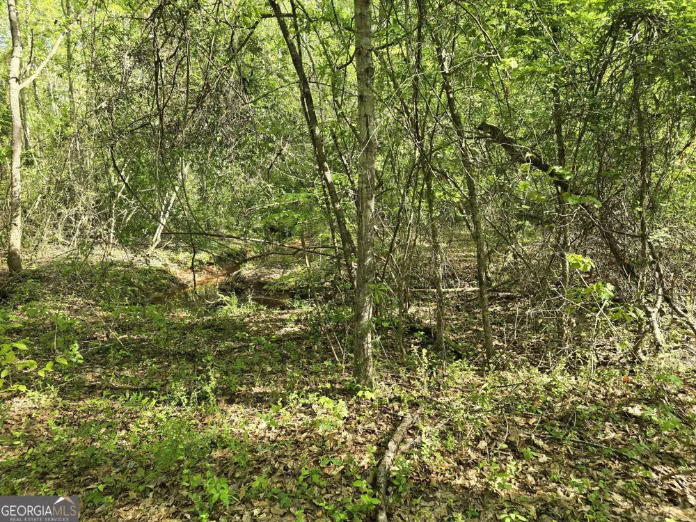LOT 19 Smith RD Thomaston, GA 30286