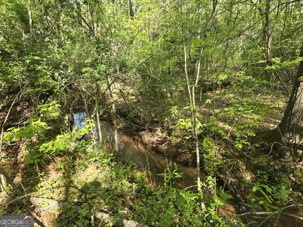 LOT 19 Smith RD Thomaston, GA 30286