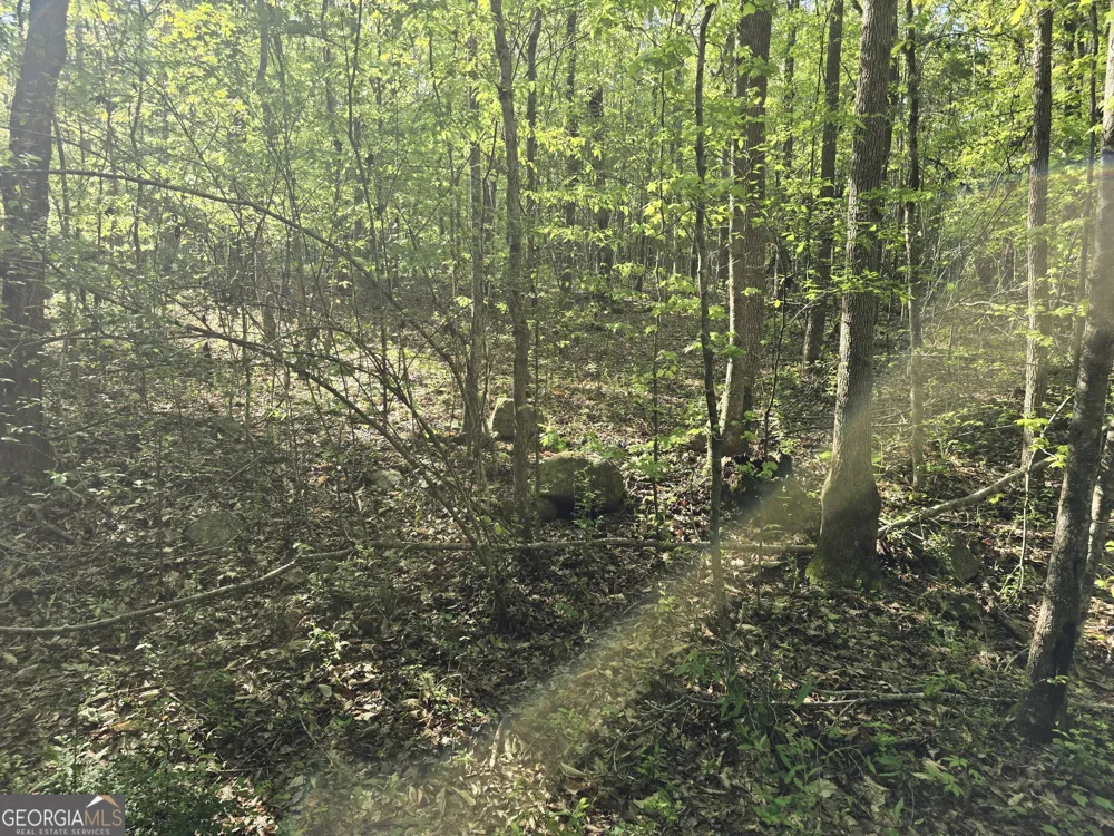 LOT 19 Smith RD Thomaston, GA 30286