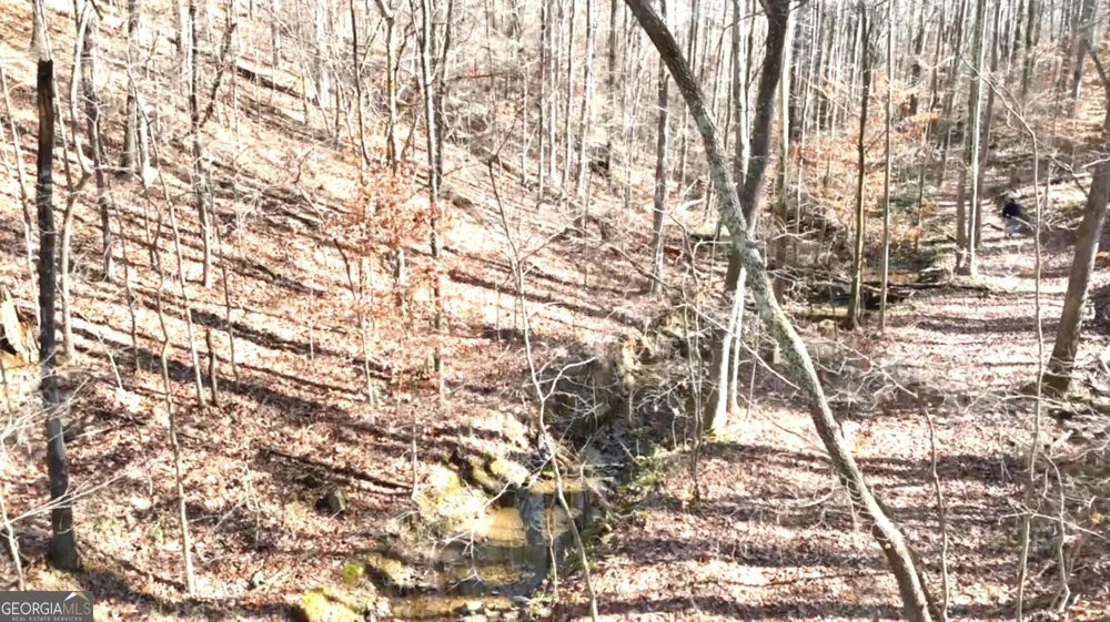 6147 Little Ridge RD Acworth, GA 30102