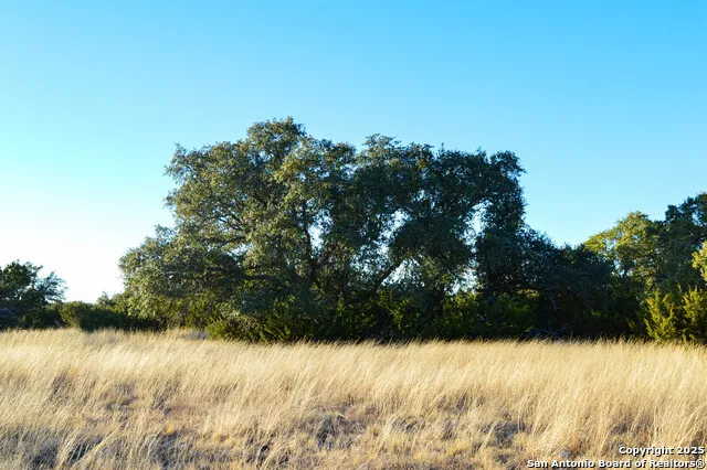 3527 stapp ranch Junction, TX 76849