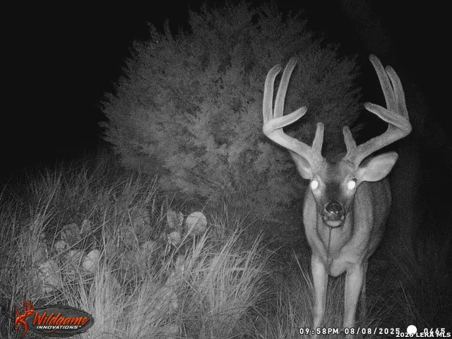 3527 stapp ranch Junction, TX 76849