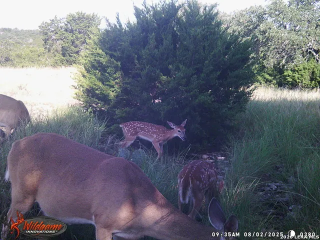 3527 stapp ranch Junction, TX 76849