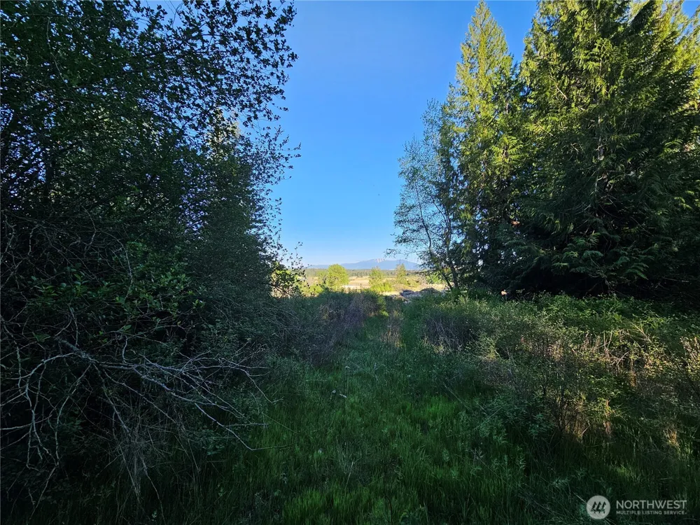 2 XXXX E Eloika Lake Road Deer Park, WA 99006