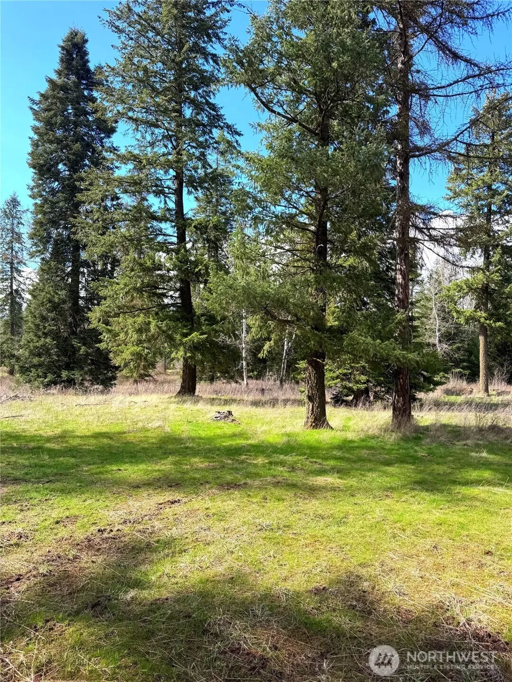 2 XXXX E Eloika Lake Road Deer Park, WA 99006