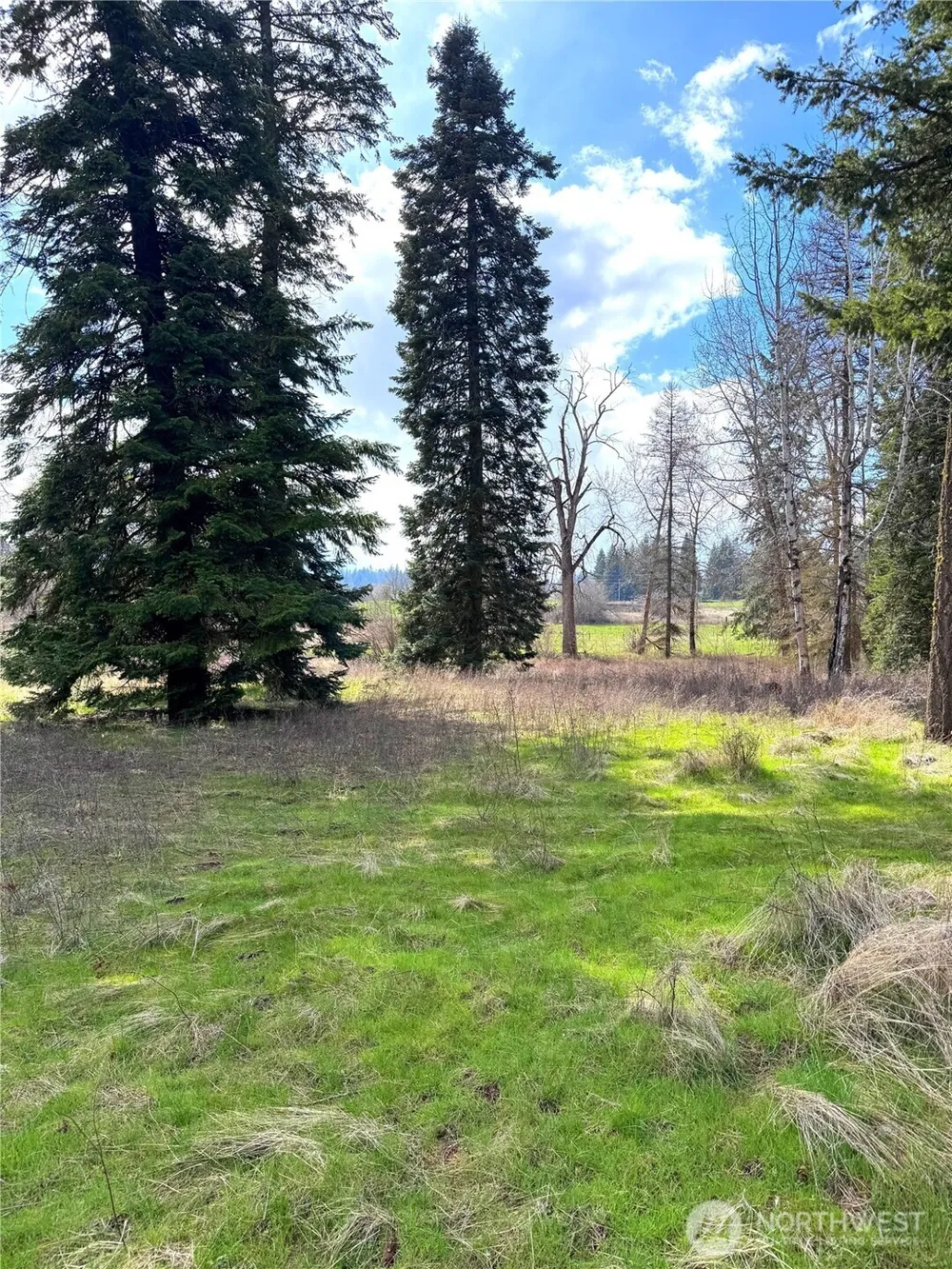 2 XXXX E Eloika Lake Road Deer Park, WA 99006