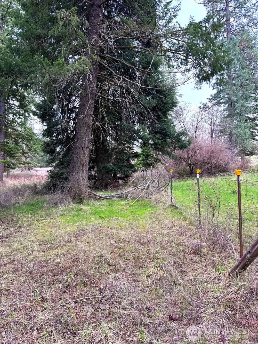 2 XXXX E Eloika Lake Road Deer Park, WA 99006