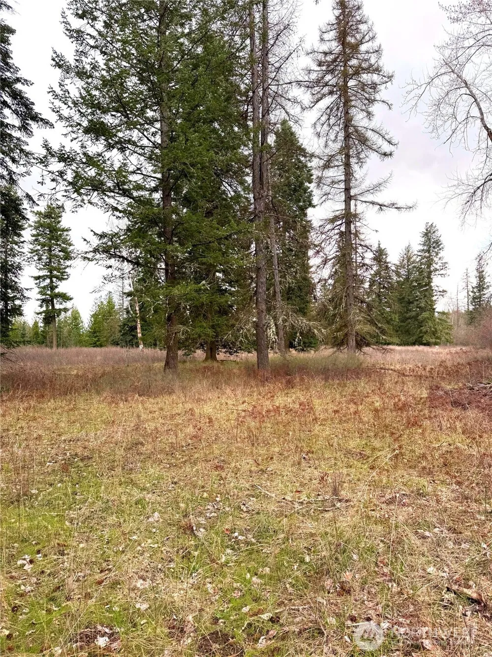 2 XXXX E Eloika Lake Road Deer Park, WA 99006