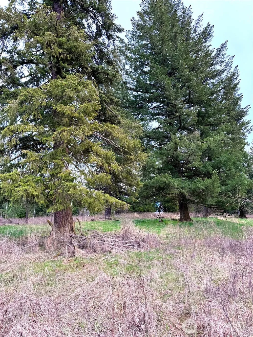 2 XXXX E Eloika Lake Road Deer Park, WA 99006
