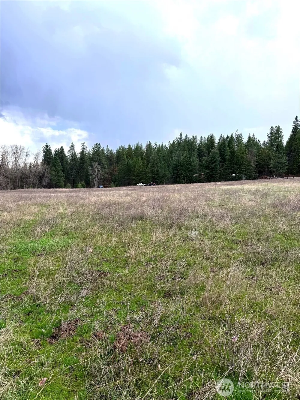 2 XXXX E Eloika Lake Road Deer Park, WA 99006