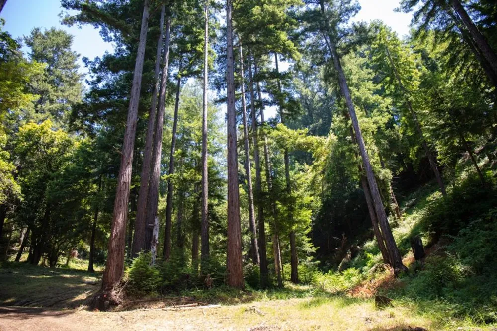 1003 Laurel Glen Soquel, CA 95073