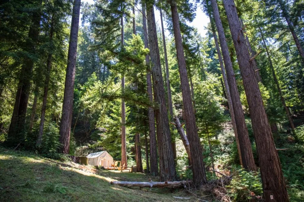1003 Laurel Glen Soquel, CA 95073