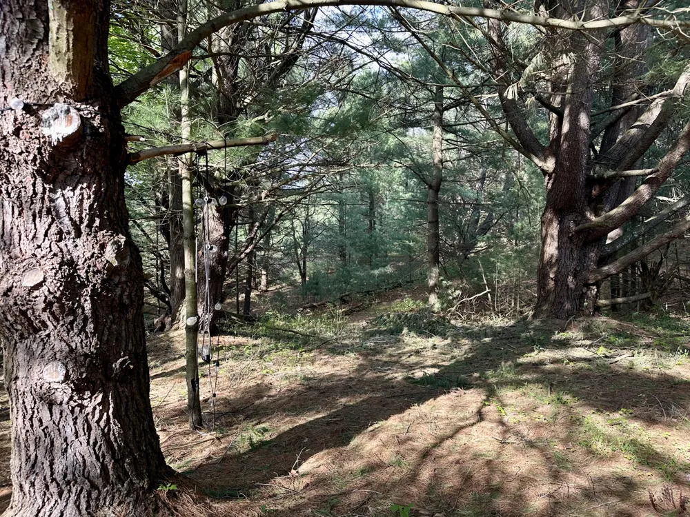 3601 Madison Road Manistee Township, MI 49660