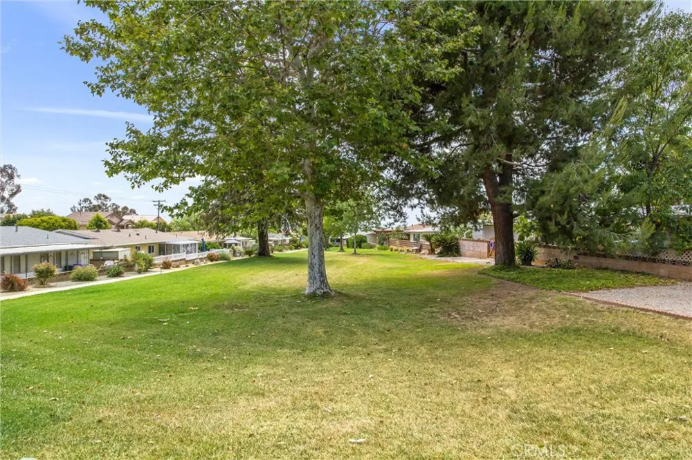 11965 Peach Tree Yucaipa, CA 92399