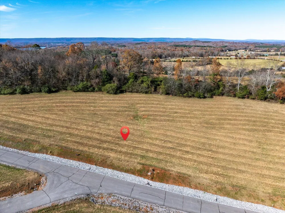 65 The Gates Drive Decatur, TN 37322