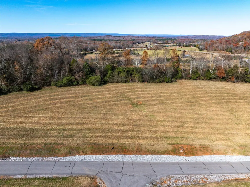 65 The Gates Drive Decatur, TN 37322