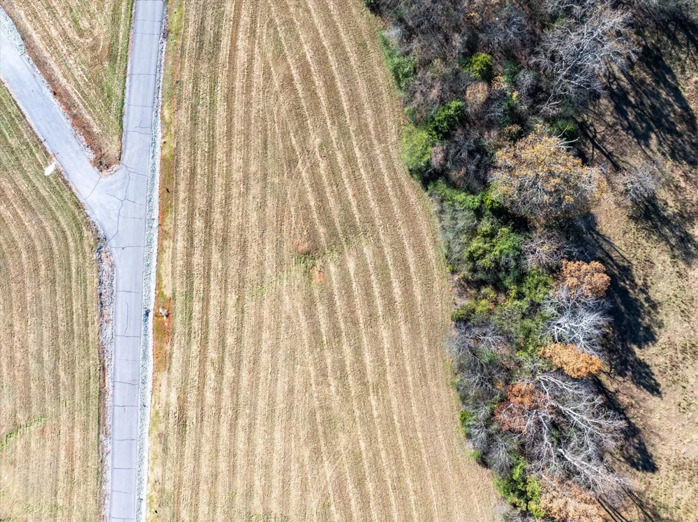 65 The Gates Drive Decatur, TN 37322