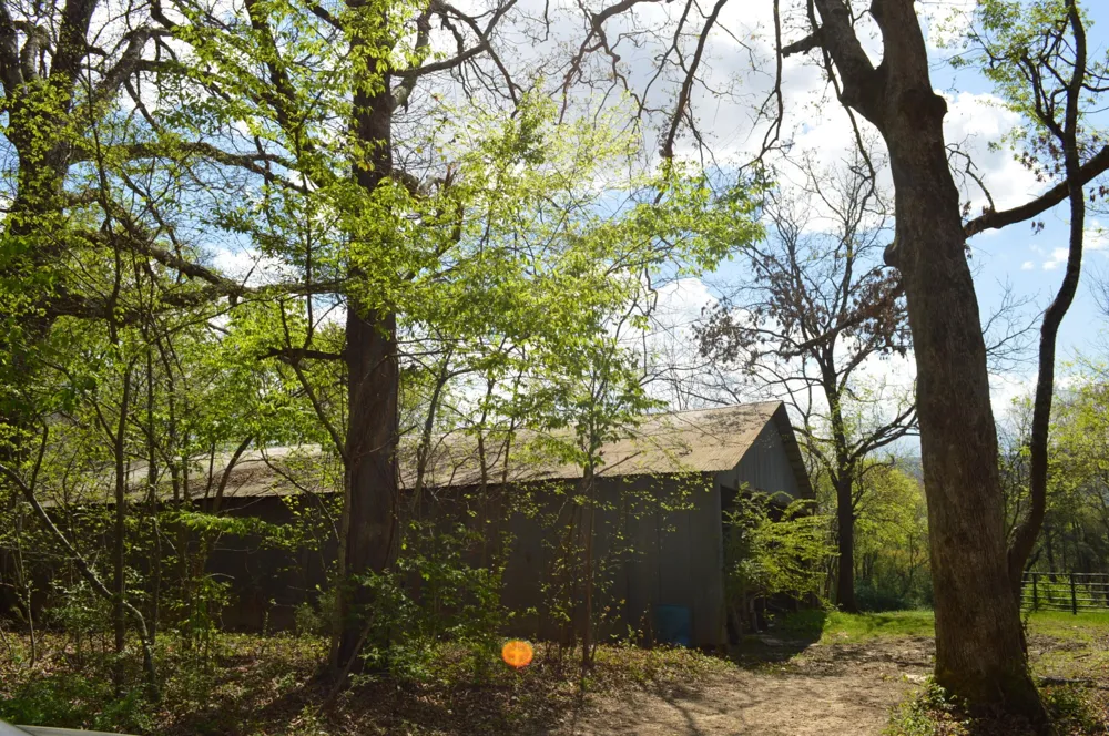 158 Needle Eye Lane Delano, TN 37325