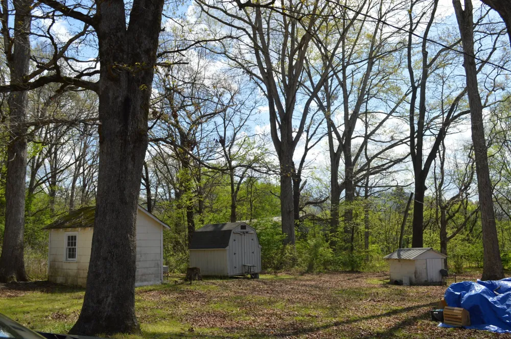 158 Needle Eye Lane Delano, TN 37325