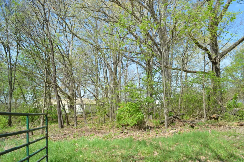 158 Needle Eye Lane Delano, TN 37325