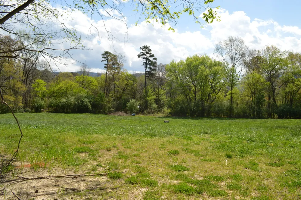158 Needle Eye Lane Delano, TN 37325