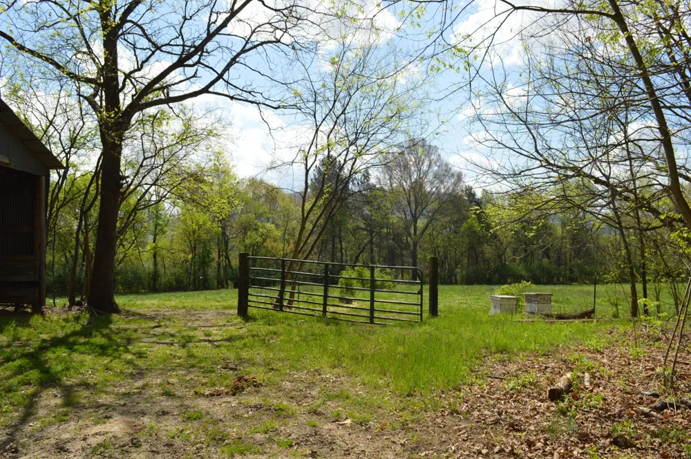 158 Needle Eye Lane Delano, TN 37325
