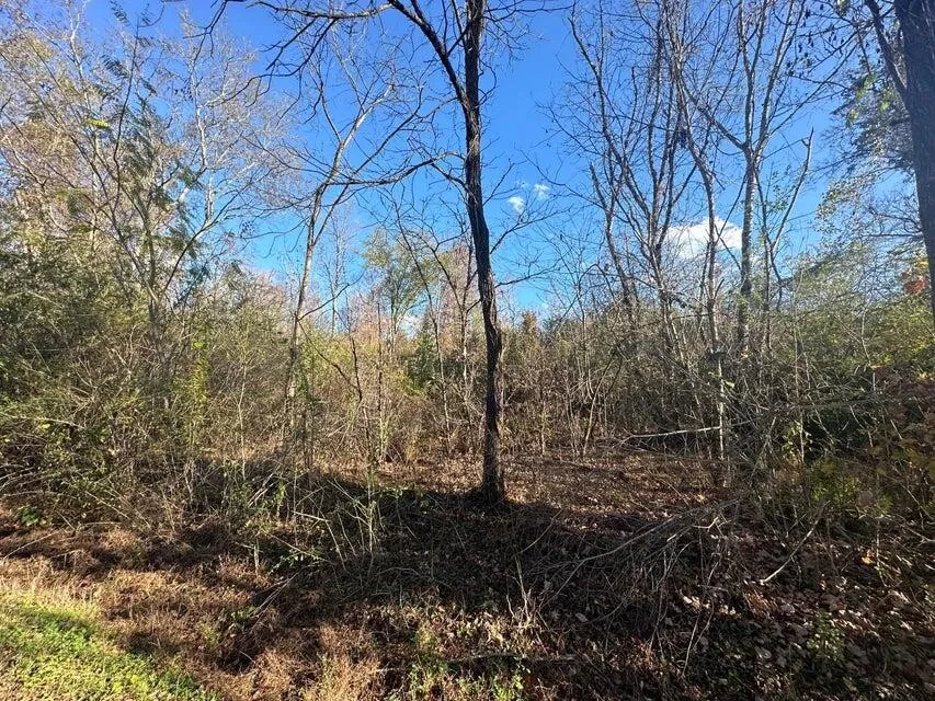0 Mt Carmel Road Decatur, TN 37322