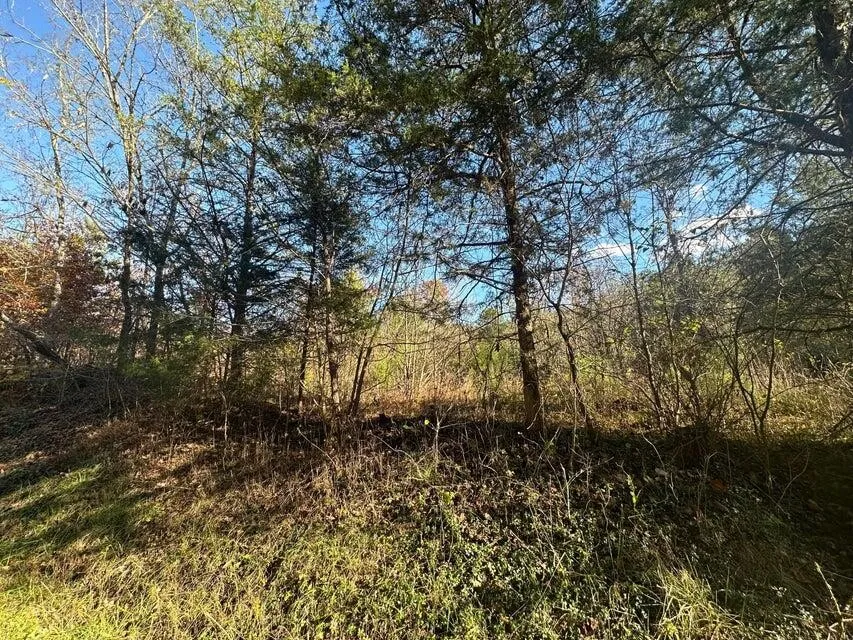 0 Mt Carmel Road Decatur, TN 37322