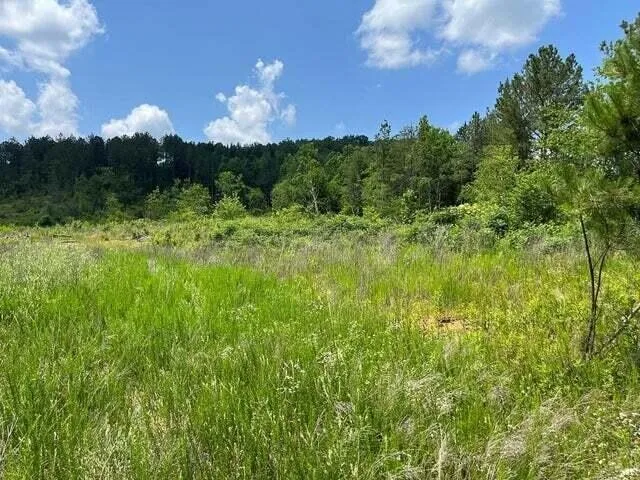 0 County Road Athens, TN 37303