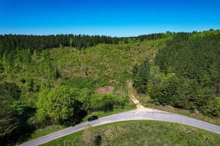 0 Sneed Road Decatur, TN 37322