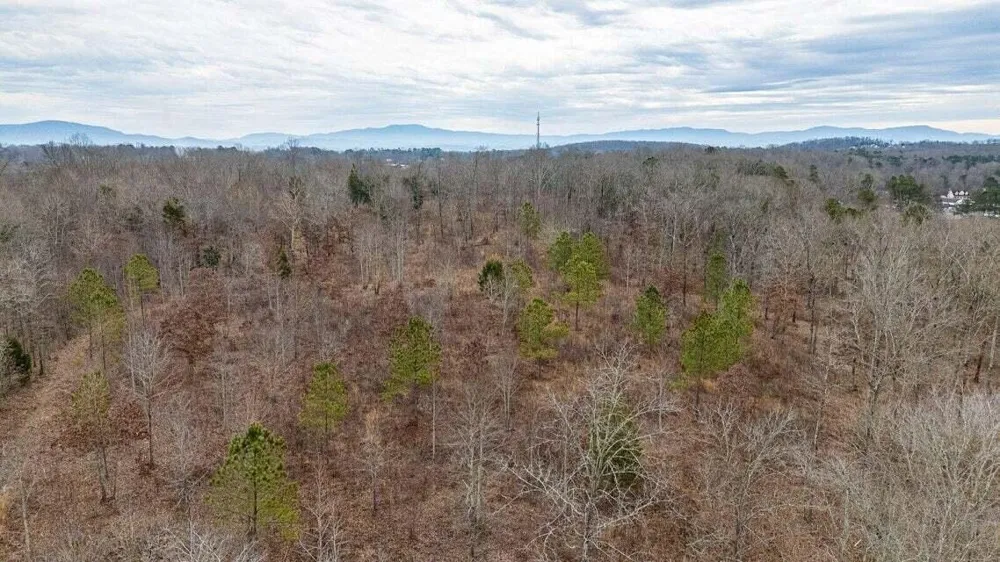 0 Waterlevel Highway Cleveland, TN 37323
