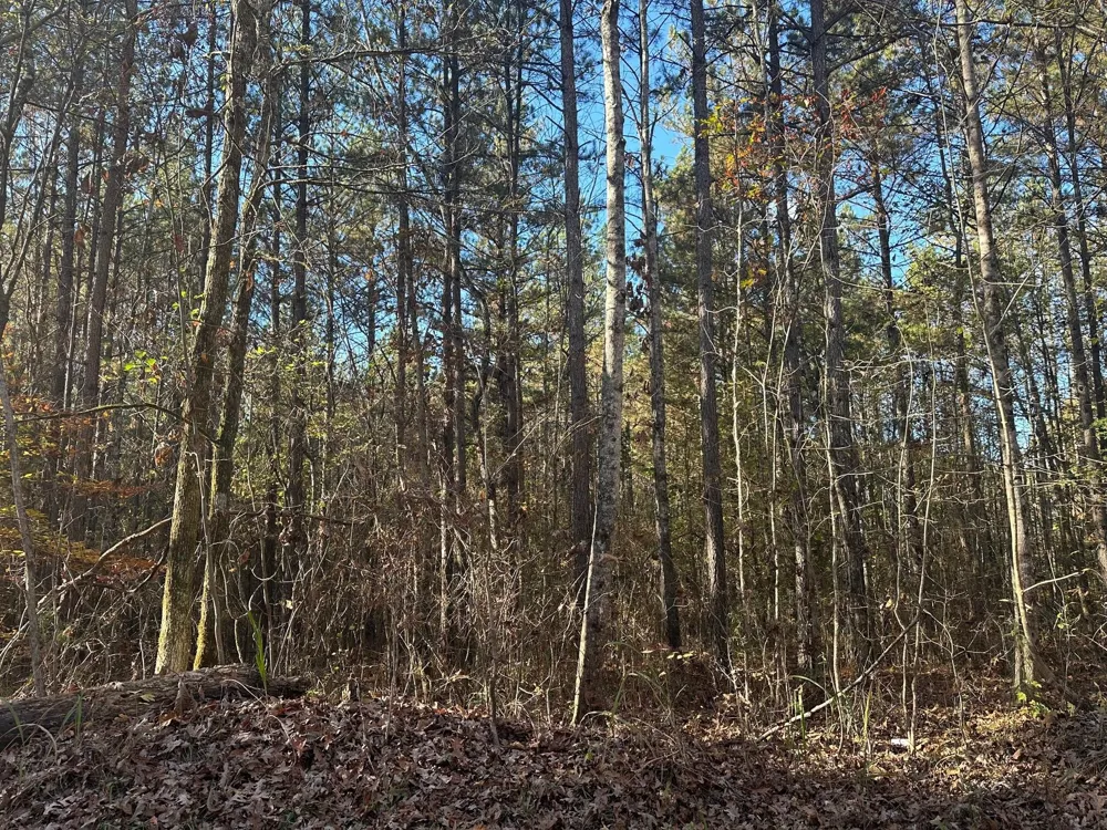 0 Redman Lane Decatur, TN 37322