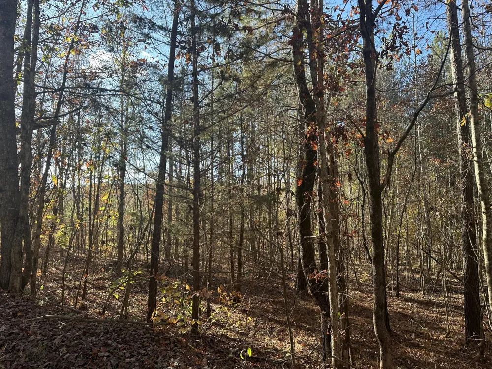 0 Redman Lane Decatur, TN 37322