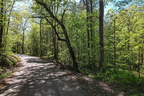 0 County Road 102