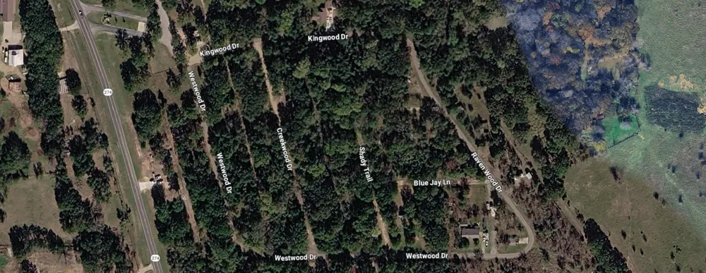 Shady Trail Trinidad, TX 75163