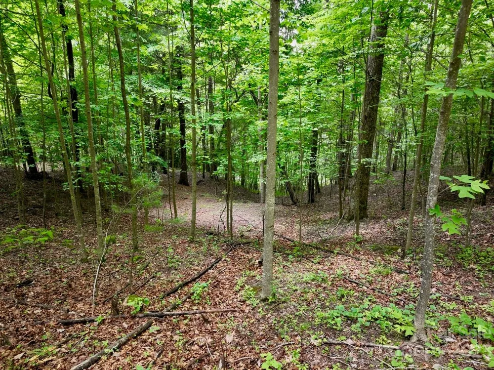 150 Thistlewynd Trail Laurel Park, NC 28739