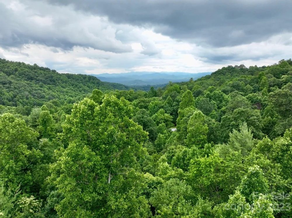 150 Thistlewynd Trail Laurel Park, NC 28739