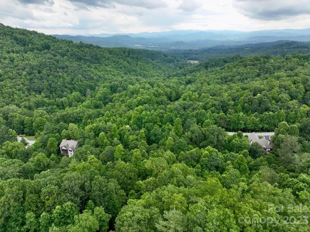 150 Thistlewynd Trail Laurel Park, NC 28739