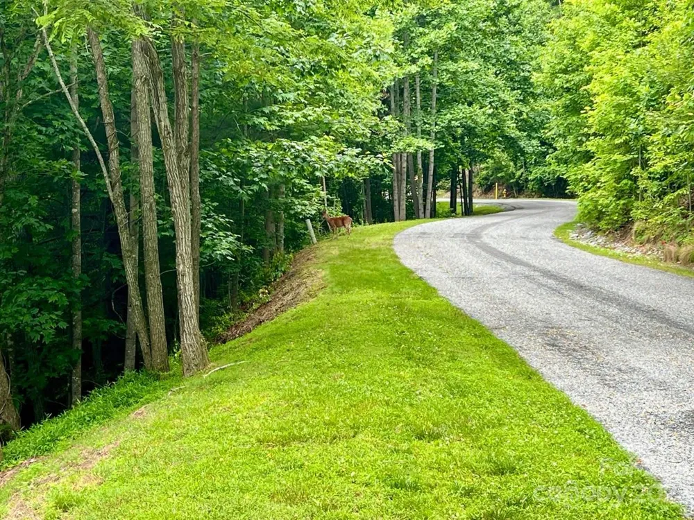 150 Thistlewynd Trail Laurel Park, NC 28739