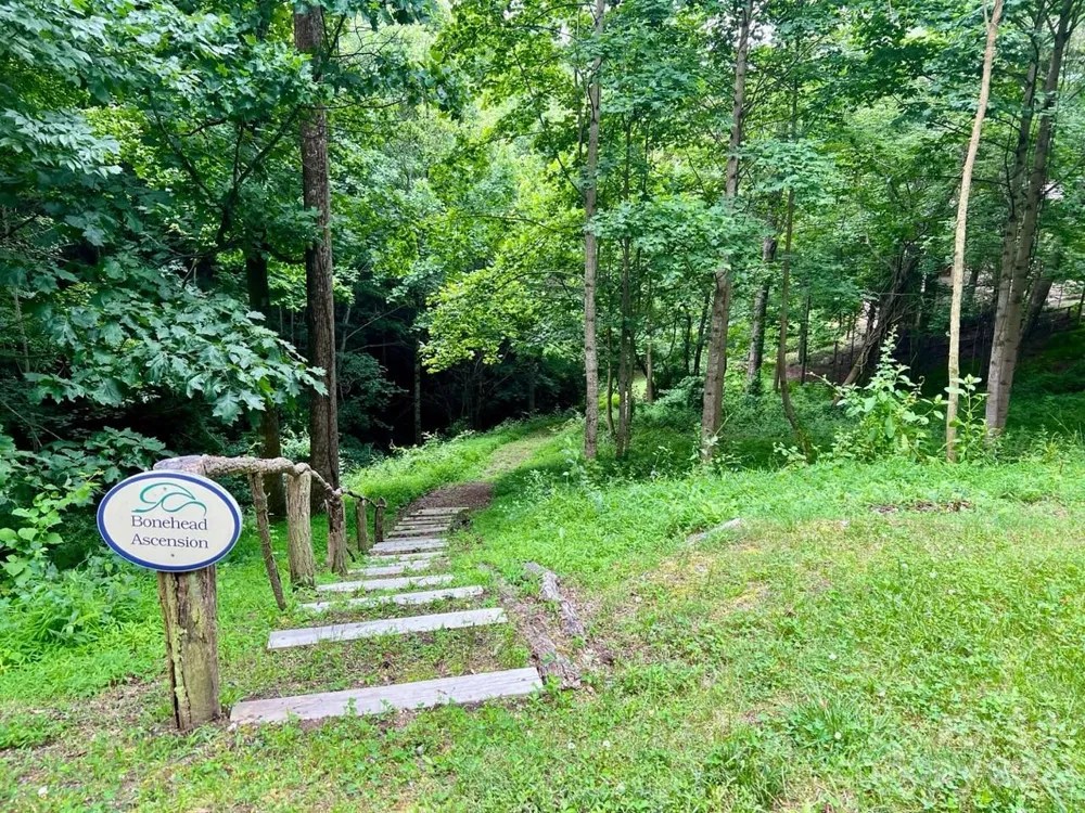 150 Thistlewynd Trail Laurel Park, NC 28739