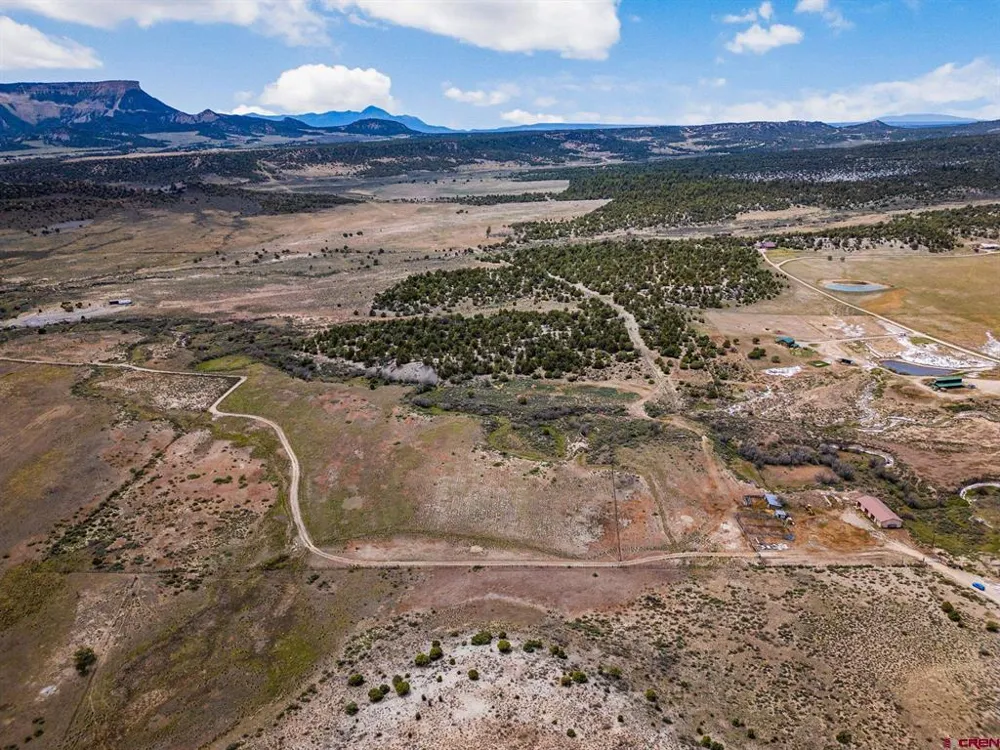 38550 Road J.5 Mancos, CO 81328