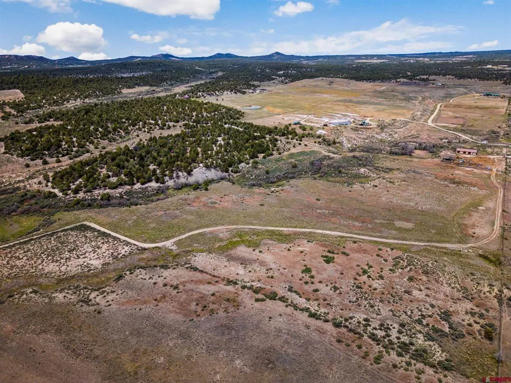38550 Road J.5 Mancos, CO 81328
