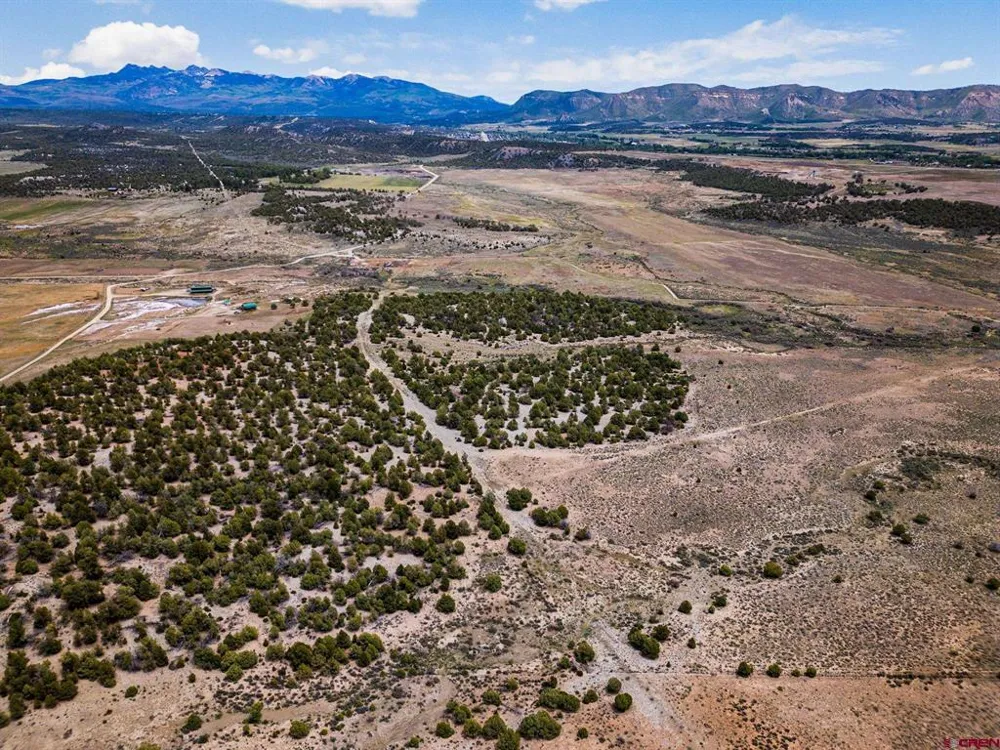38550 Road J.5 Mancos, CO 81328