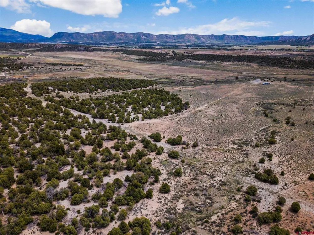 38550 Road J.5 Mancos, CO 81328
