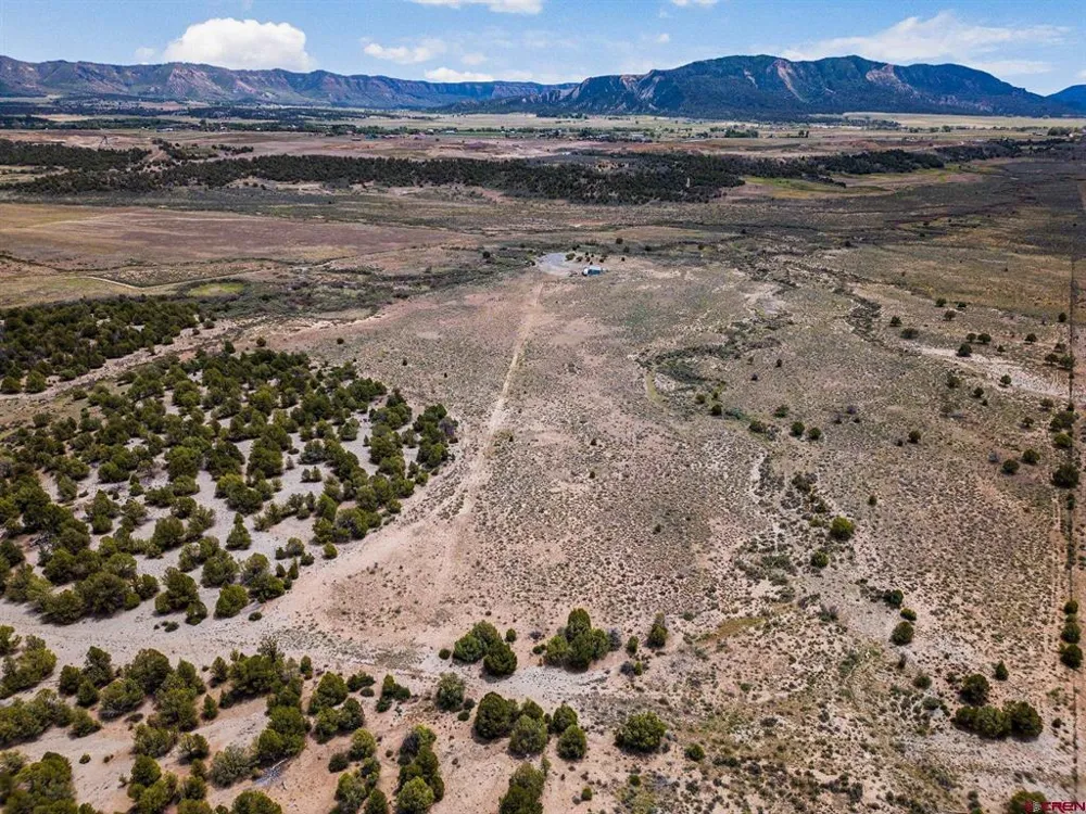 38550 Road J.5 Mancos, CO 81328