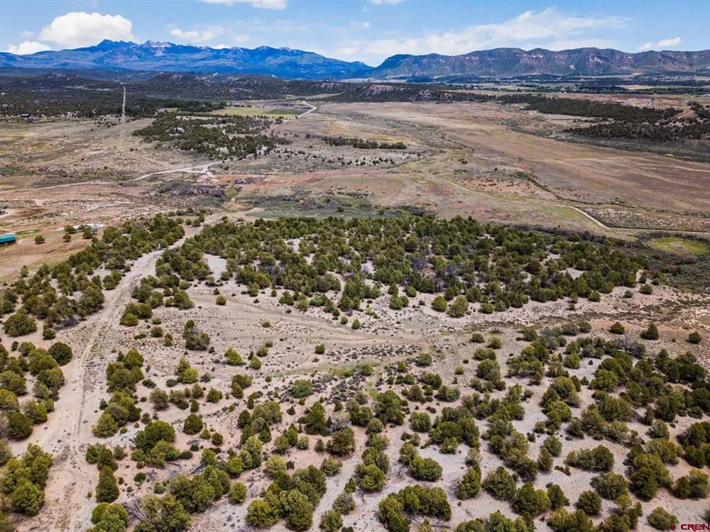 38550 Road J.5 Mancos, CO 81328